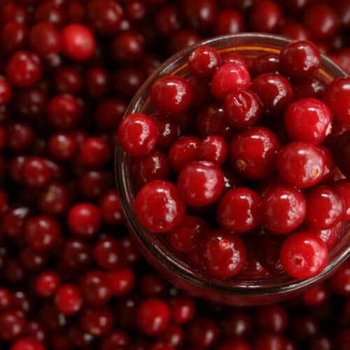 Cranberry Punsch Rezept